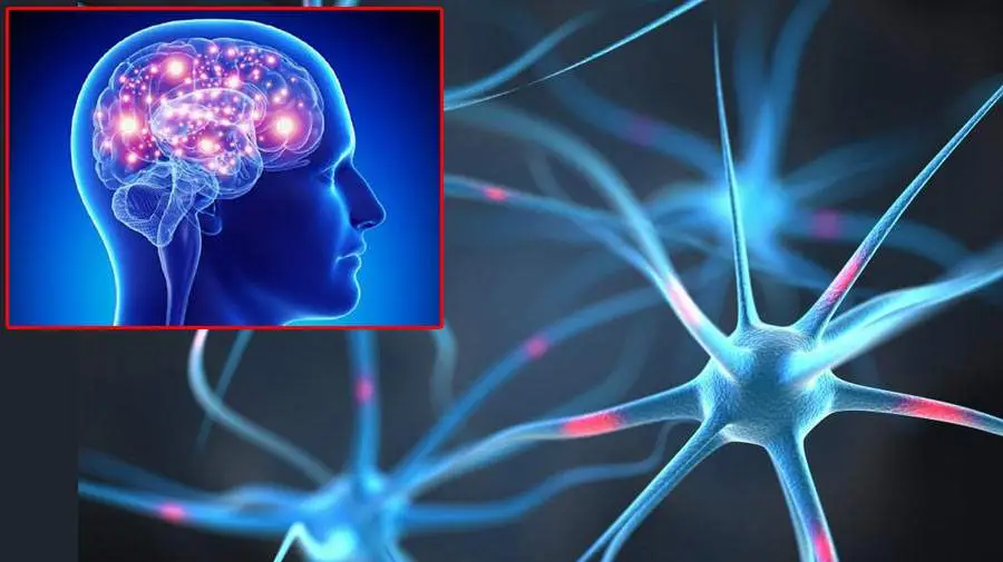 درمان صرع با RTMS