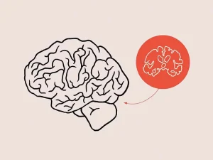 تاثیر افسردگی بر مغز